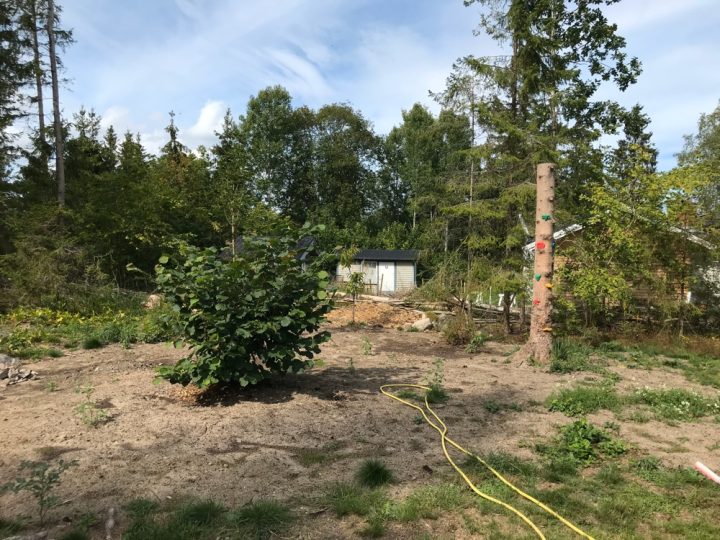 2019 trädgård Roslagsbacken